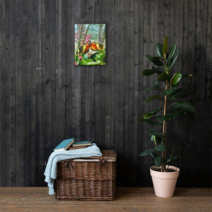 Butterfly Watercolor Canvas Print